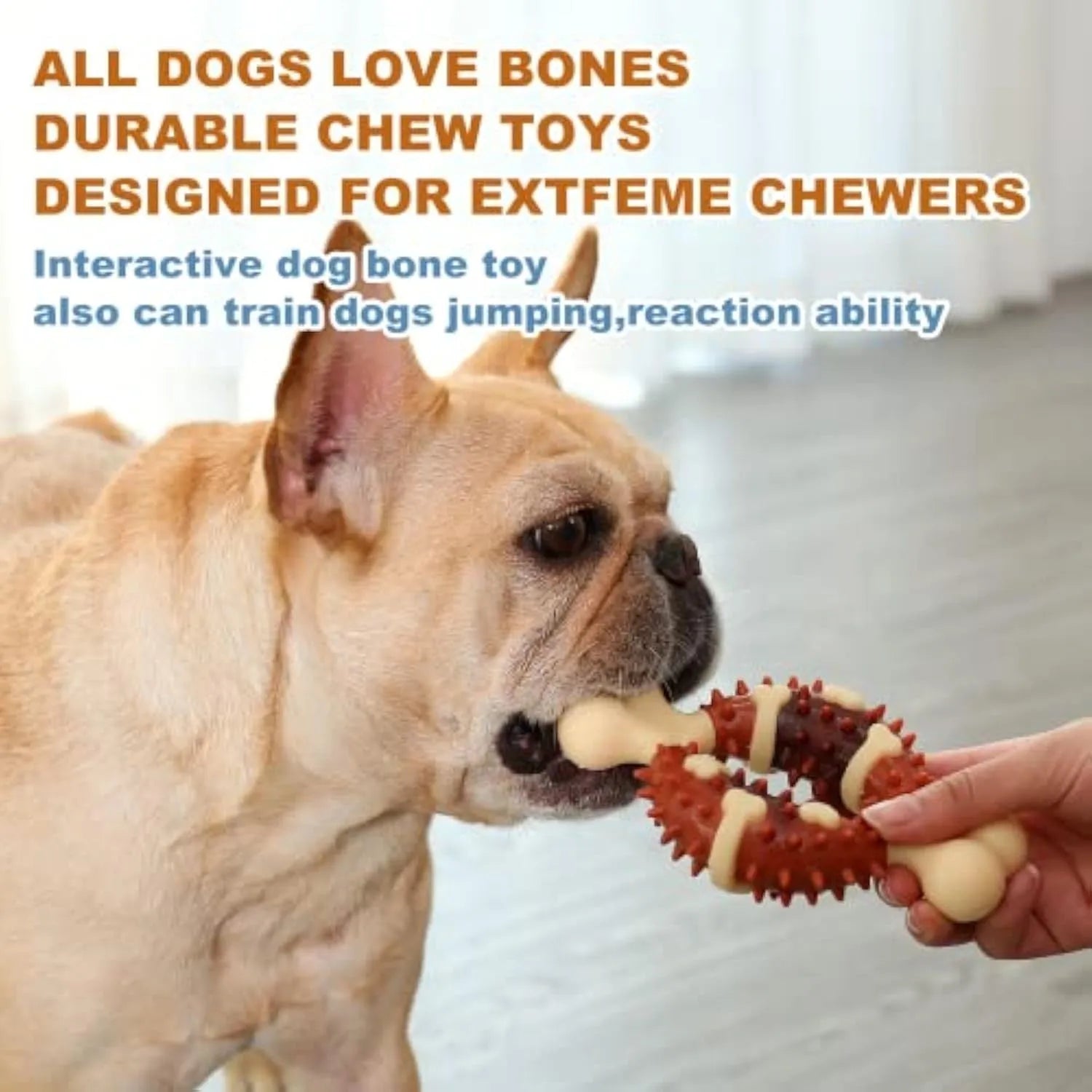 Bone-shaped natural rubber pet molar chew toy shown in two sizes