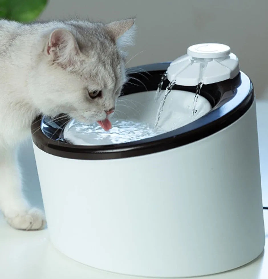 White plastic automatic drinking machine for cats and dogs with USB power cable