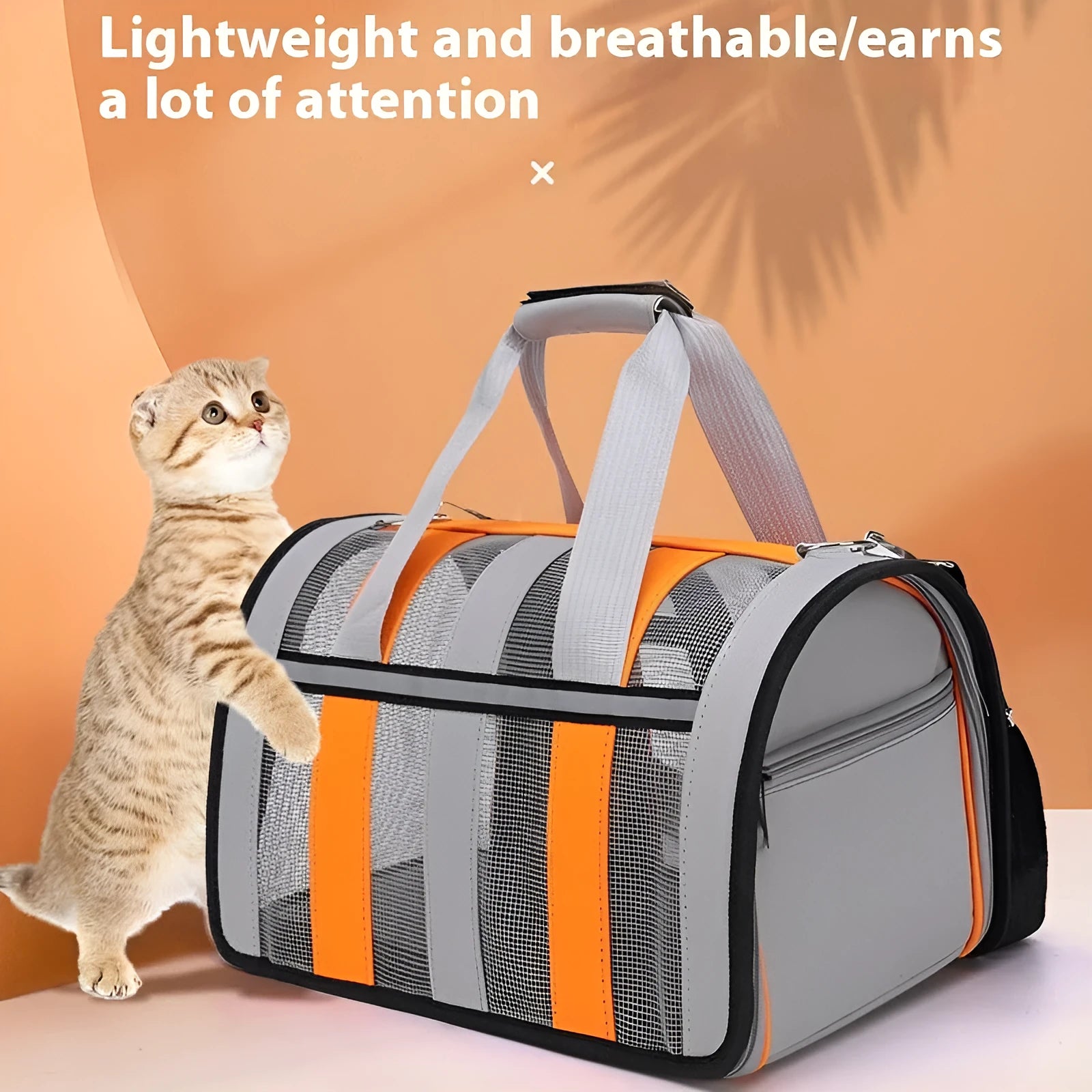 Outdoor portable cat bag in Oxford fabric with multiple colour options and three sizes