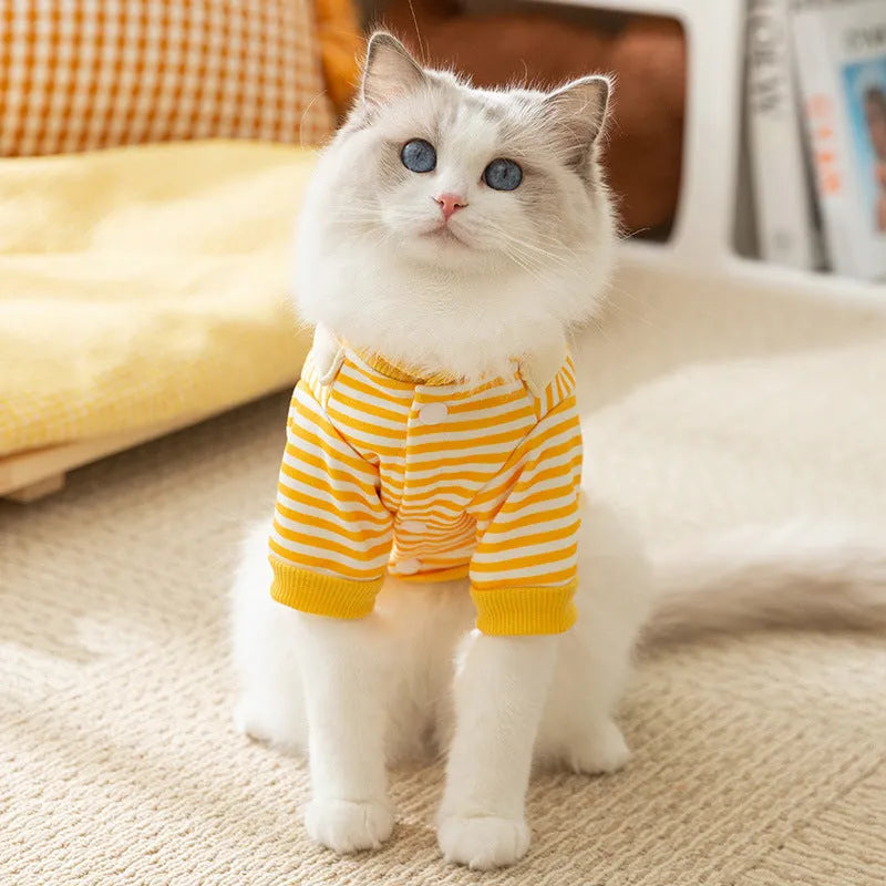 Fashion autumn thin dog pattern sweater in white, cartoon style, polyester fibre, front view