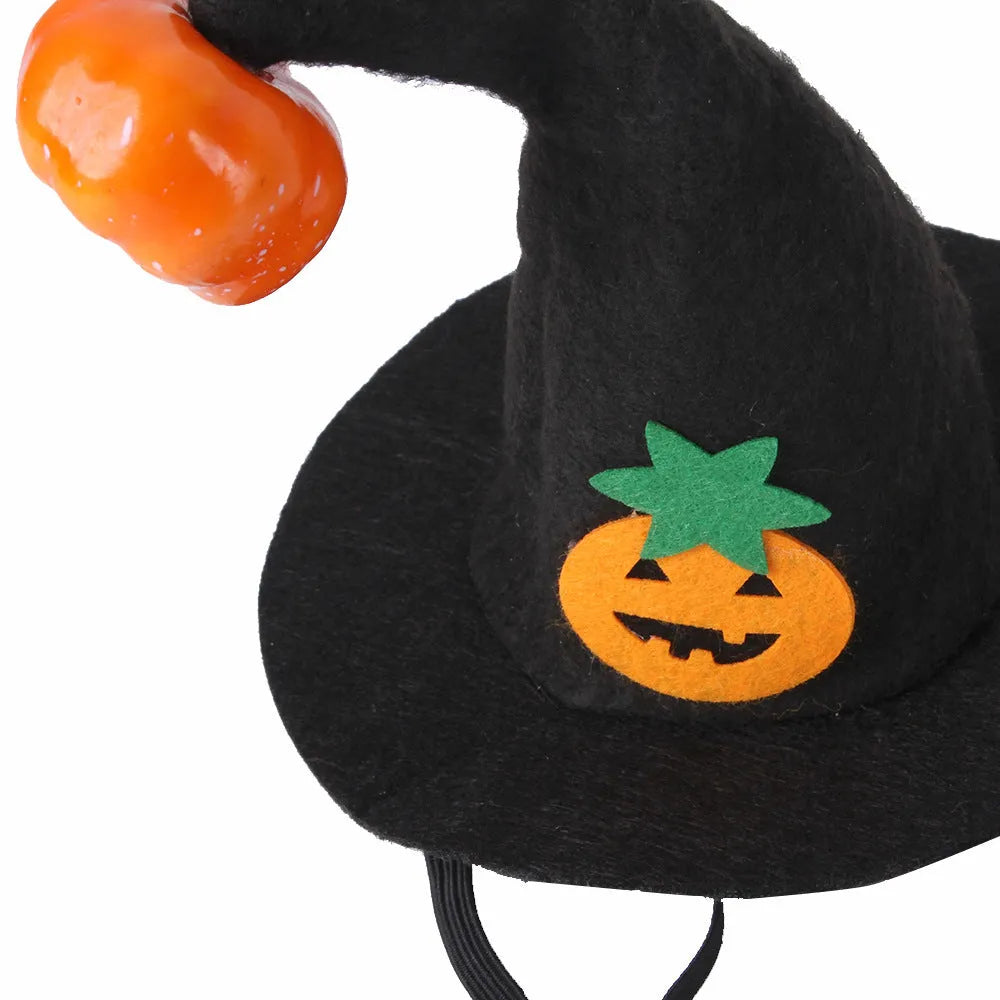 Adjustable cloth Halloween hat for pets showing embossed pumpkin design on cat
