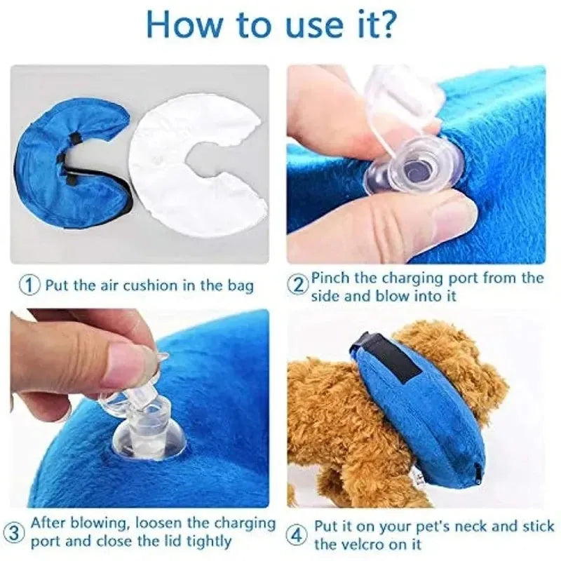 Blue inflatable dog recovery collar with adjustable strap, shown on a model for size.