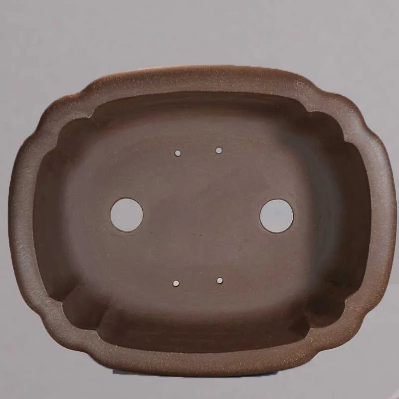 Purple sand handmade antique rectangular begonia flower pot on a desktop.