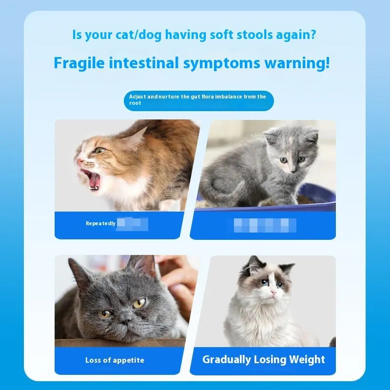 Bottle of 180 pet probiotic tablets for dogs and cats digestive support.