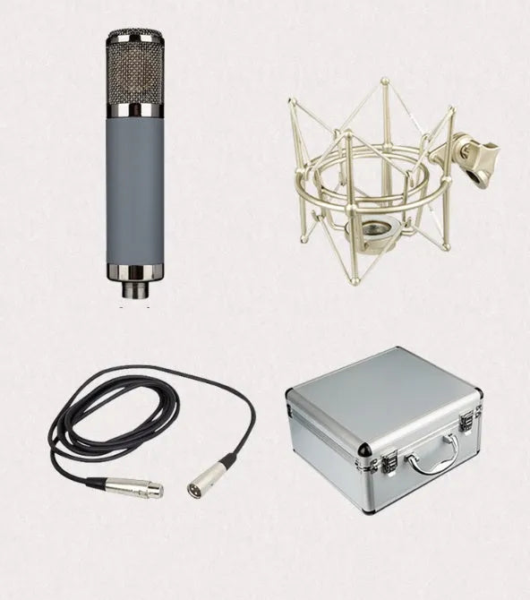 34mm gold diaphragm 48V condenser microphone with shockproof rack, Cannon cable, and aluminium box