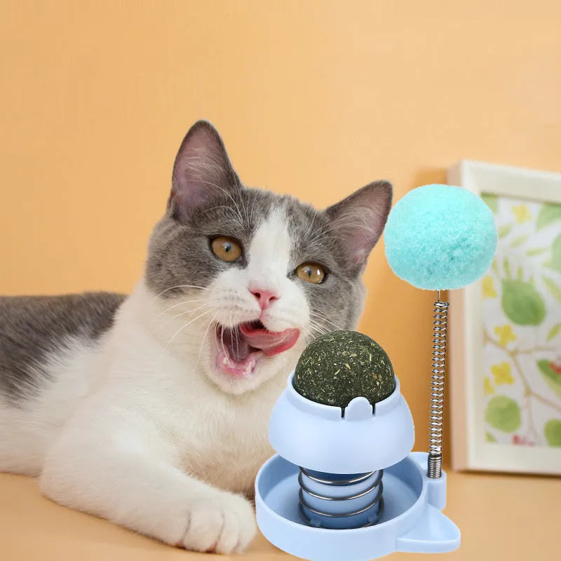 Cat toy with mint ball measuring 55mm diameter for hairball relief and teeth cleaning