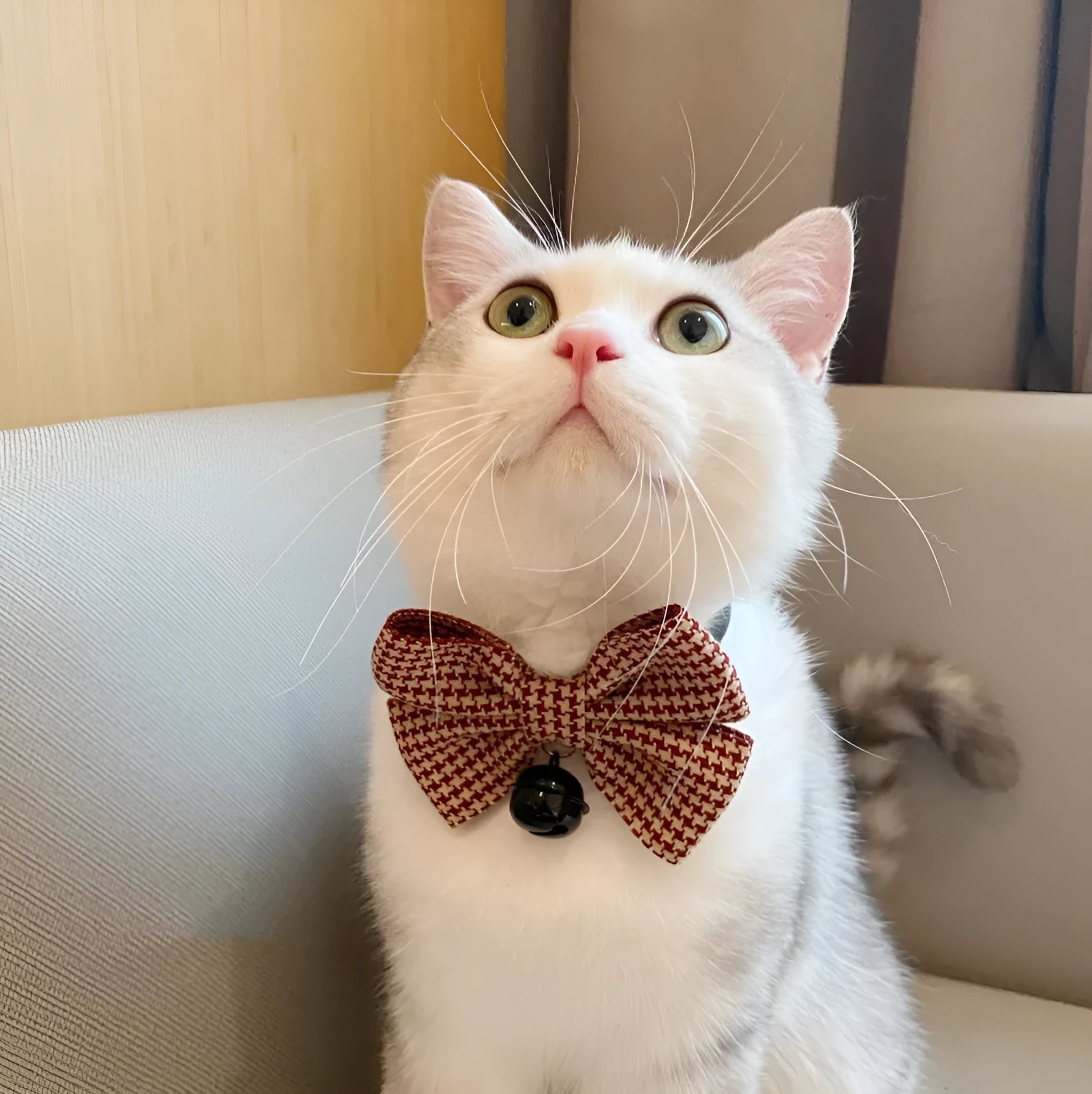 Cloth pet bow tie decoration in wine red checkered pattern with bell on a cat collar