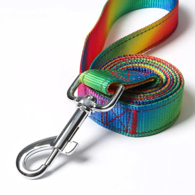 Colourful reflective three-piece dog set with chest and back cover, collar and rope lead in sizes L M S