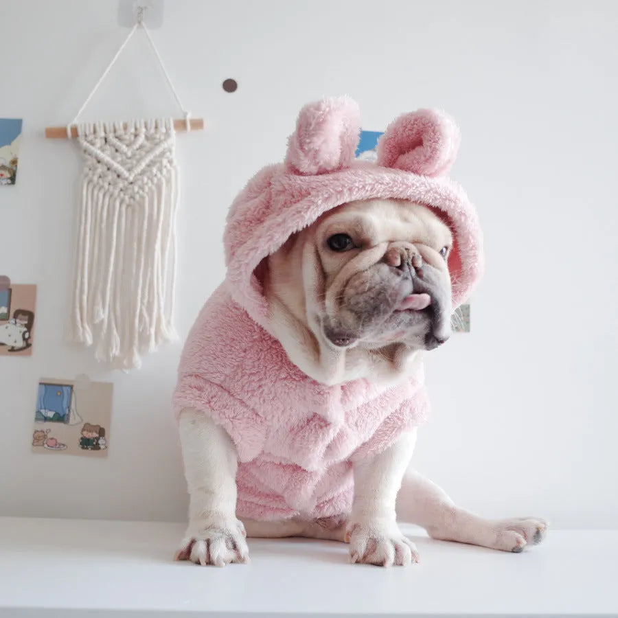 Cartoon embroidered coral velvet hooded pet vest in pink colour on a white background