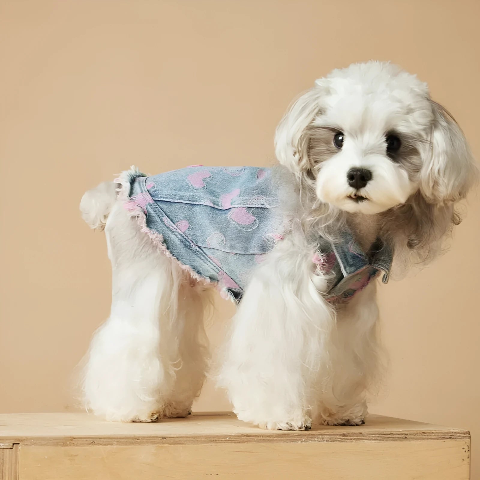 Denim sleeveless dog vest with distressed love design, casual style, available in multiple sizes from XS to XXL.