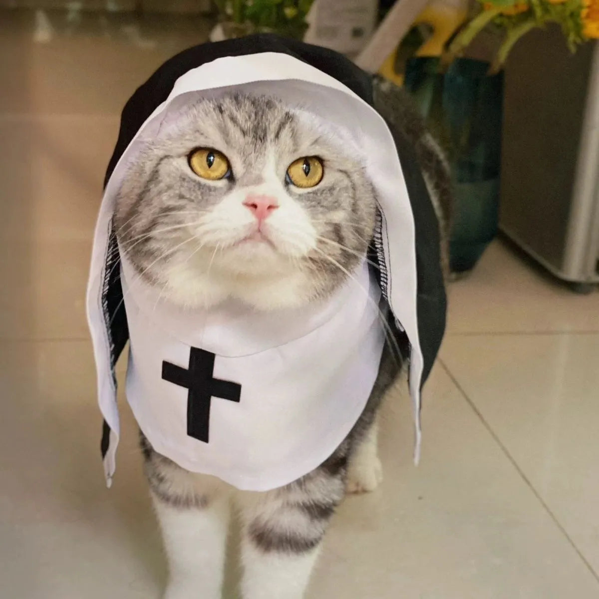 Black and white nun costume for small to medium dogs with pullover design