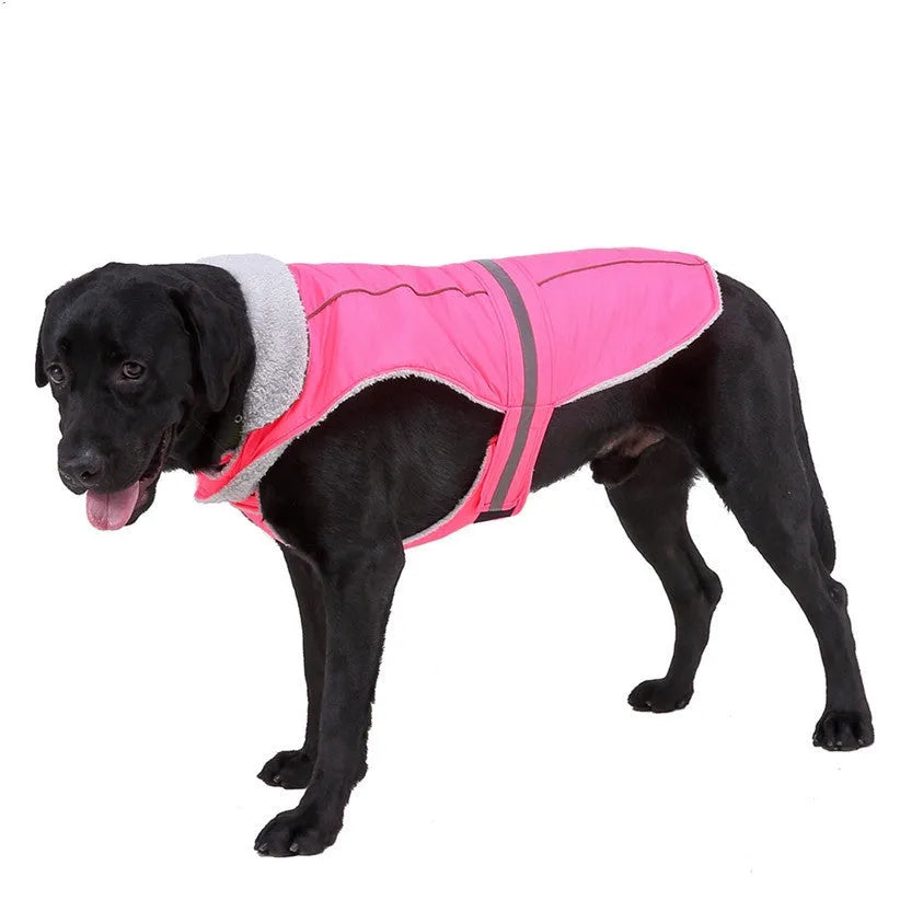 Reflective dog coat in pink or purple, polyester, sizes S to XXL for winter night walks