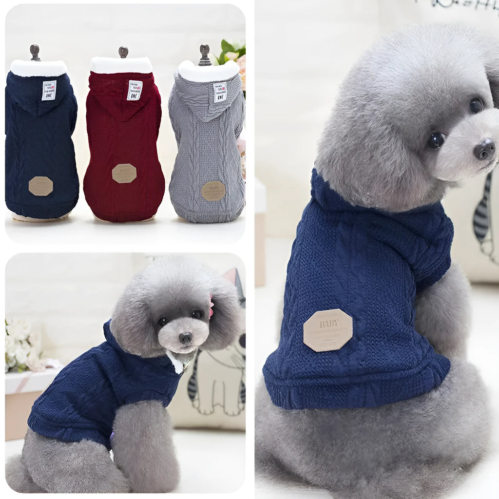 Teddy dog clothes coral fleece sweater in blue, wine red, or grey, sizes S to XXL, back length 21-40cm.