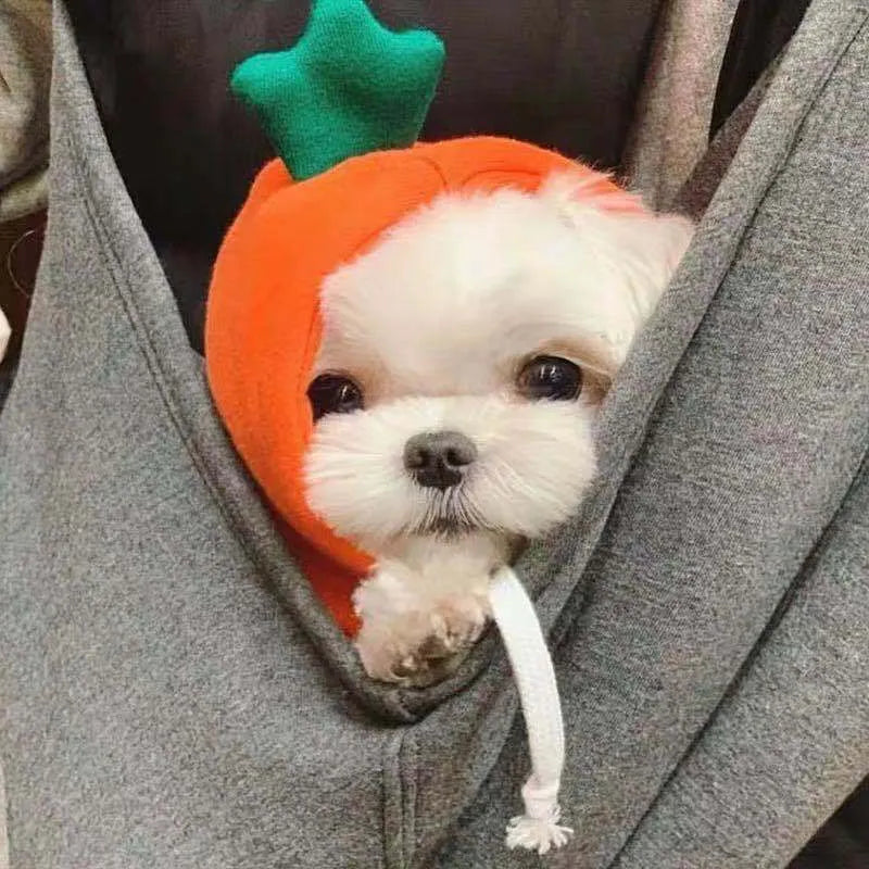 Fruit dog clothes two-legged hooded fleece outfit in green for autumn and winter