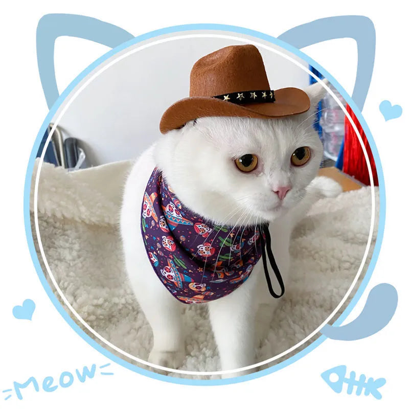 British-style brown cat cowboy hat with decorative trim on a feline model