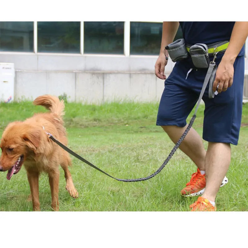 Adjustable hands-free dog leash running set with nylon retractable rope, waist belt, and two storage bags on a person jogging