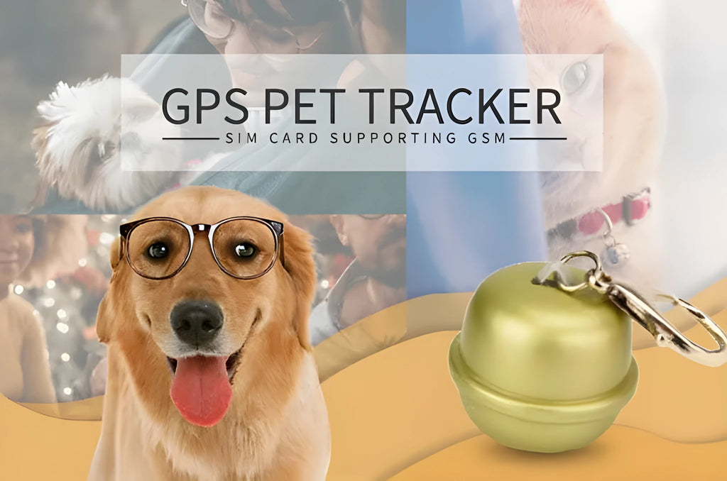 GPS tracking dog collar with adjustable strap in multiple colour options