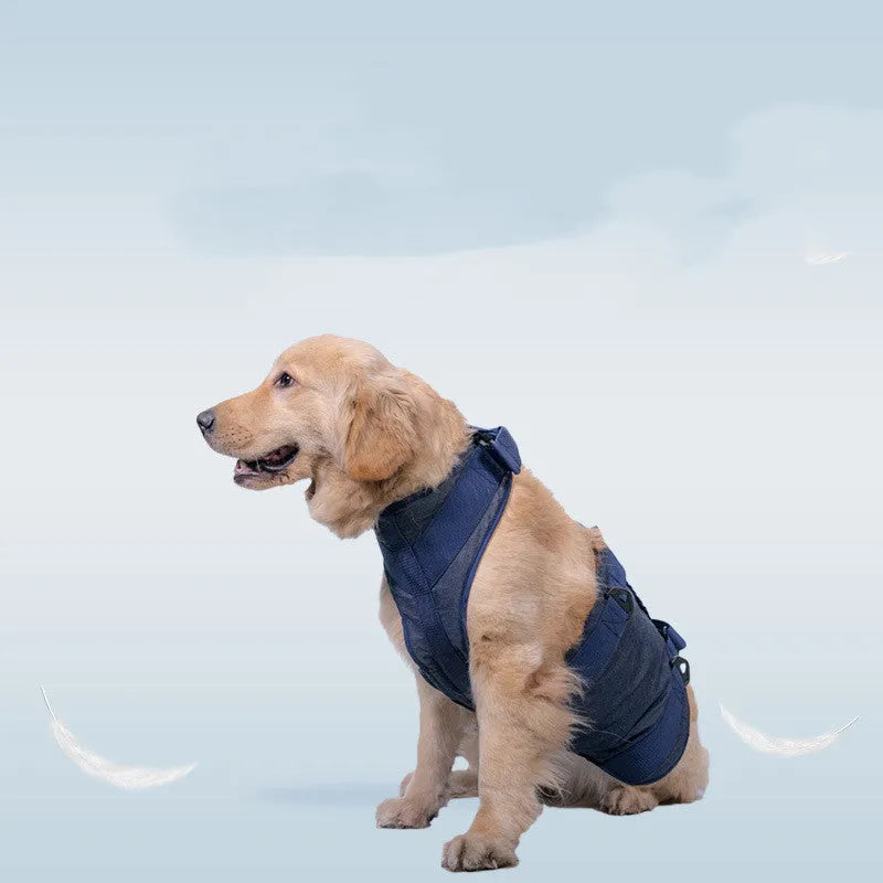 Oxford cloth pet dog leash in dark blue or pink with adjustable neck and waist straps, sizes XS to XL.