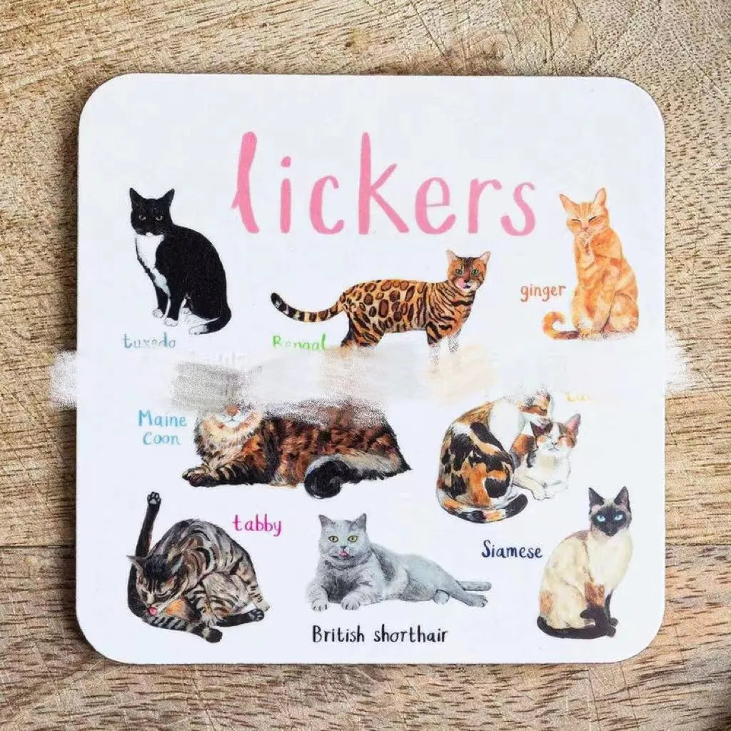 Bird pun coaster set, square PVC drink mats, 10x10x0.35 cm, 6 or 12 pieces