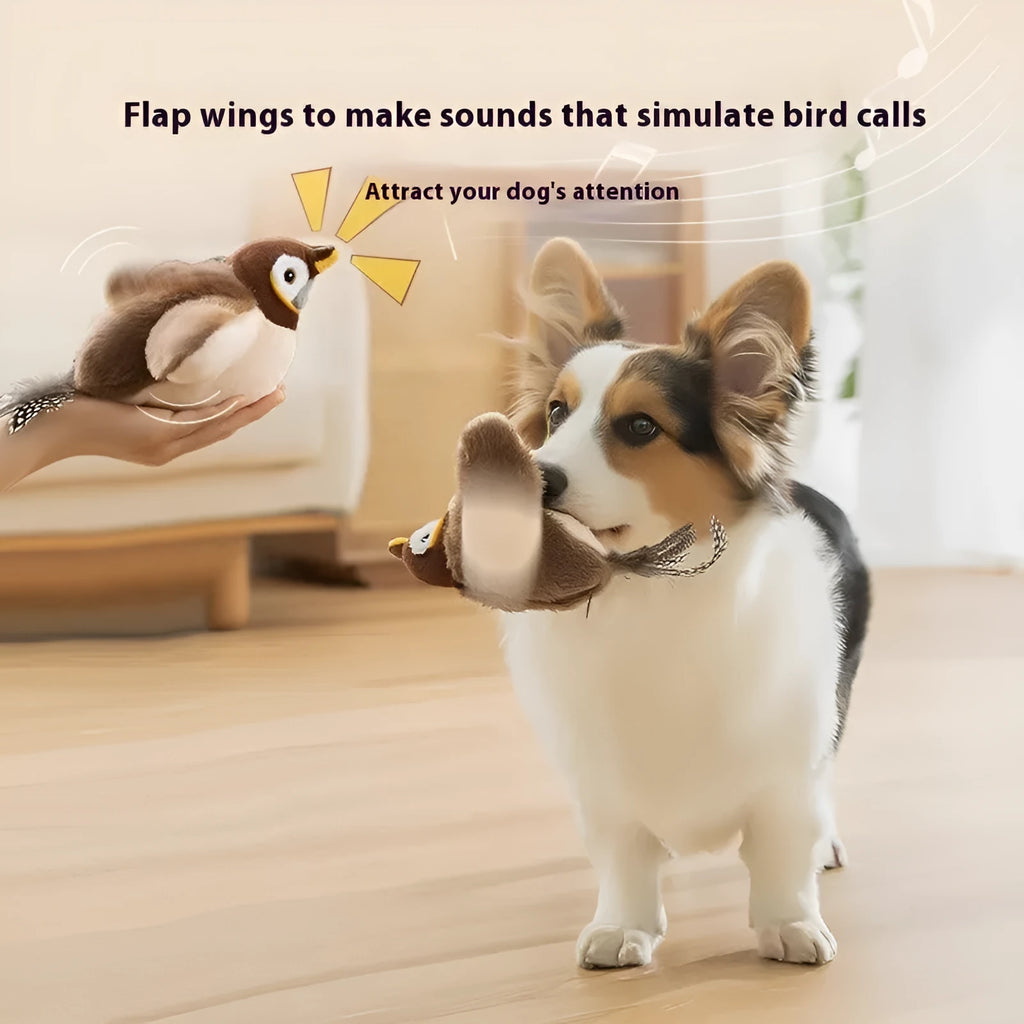 Colourful Interactive Bird Shake the Sparrow plush cat toy on a light background