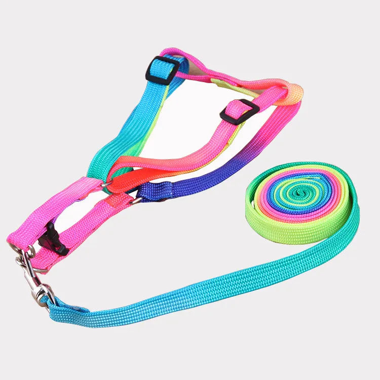 Colourful nylon chest-type dog leash with 120cm pull strap and 1.0cm width, sized for 25-40cm bust.