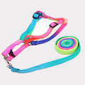 Colourful nylon chest-type dog leash with 120cm pull strap and 1.0cm width, sized for 25-40cm bust.