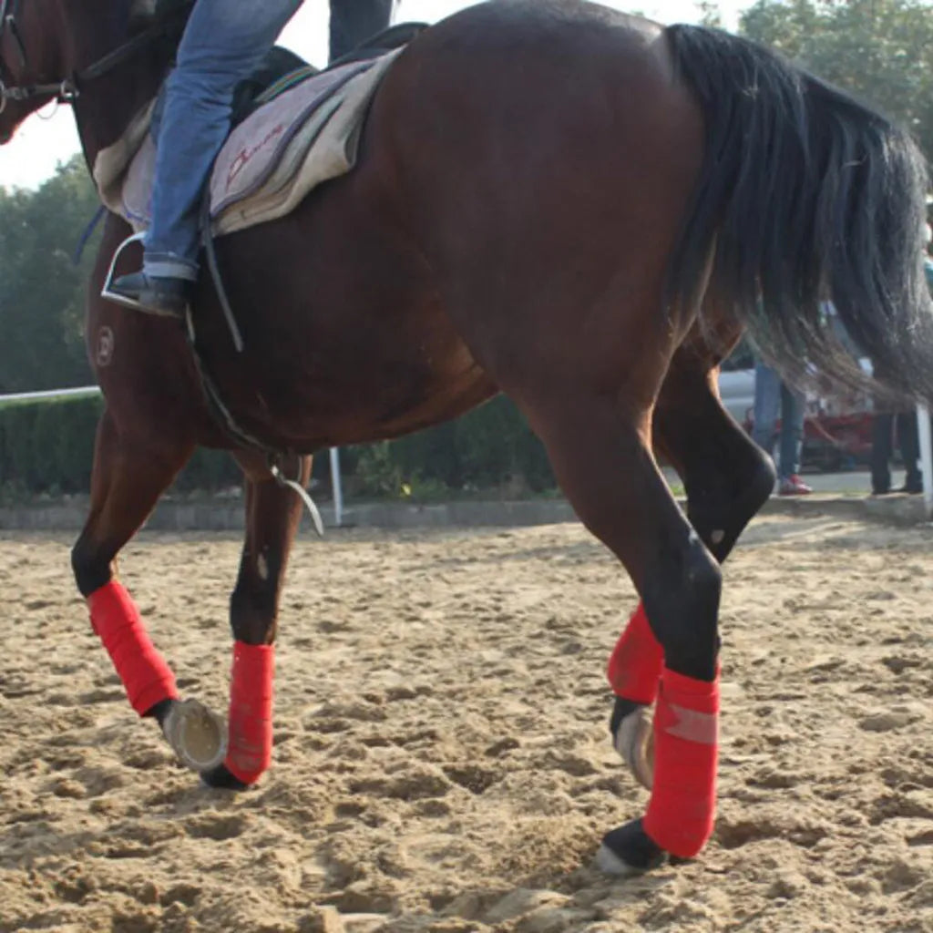 Four polar fleece horse leg wraps in black, blue, grey, and red, each 300cm long with nylon buckle