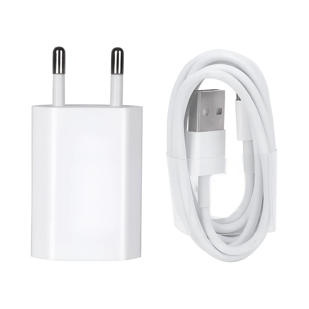 5V 2A USB travel charger and cable compatible with iPhone and iPad models.