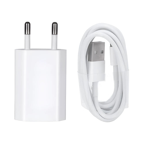 5V 2A USB travel charger and cable compatible with iPhone and iPad models.