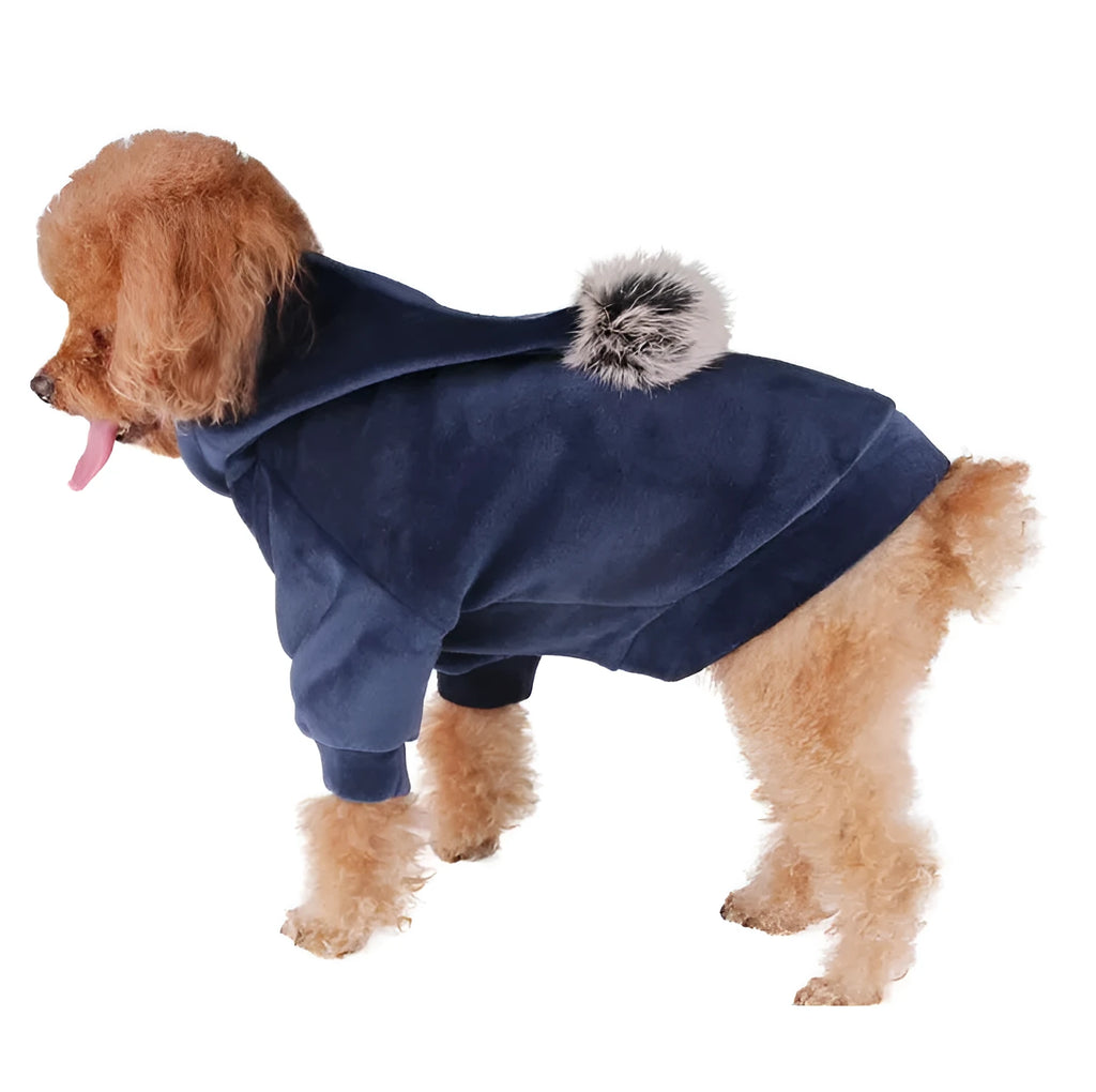 Small dog wearing a blue hot dog costume made from breathable cotton with elastic leg openings.