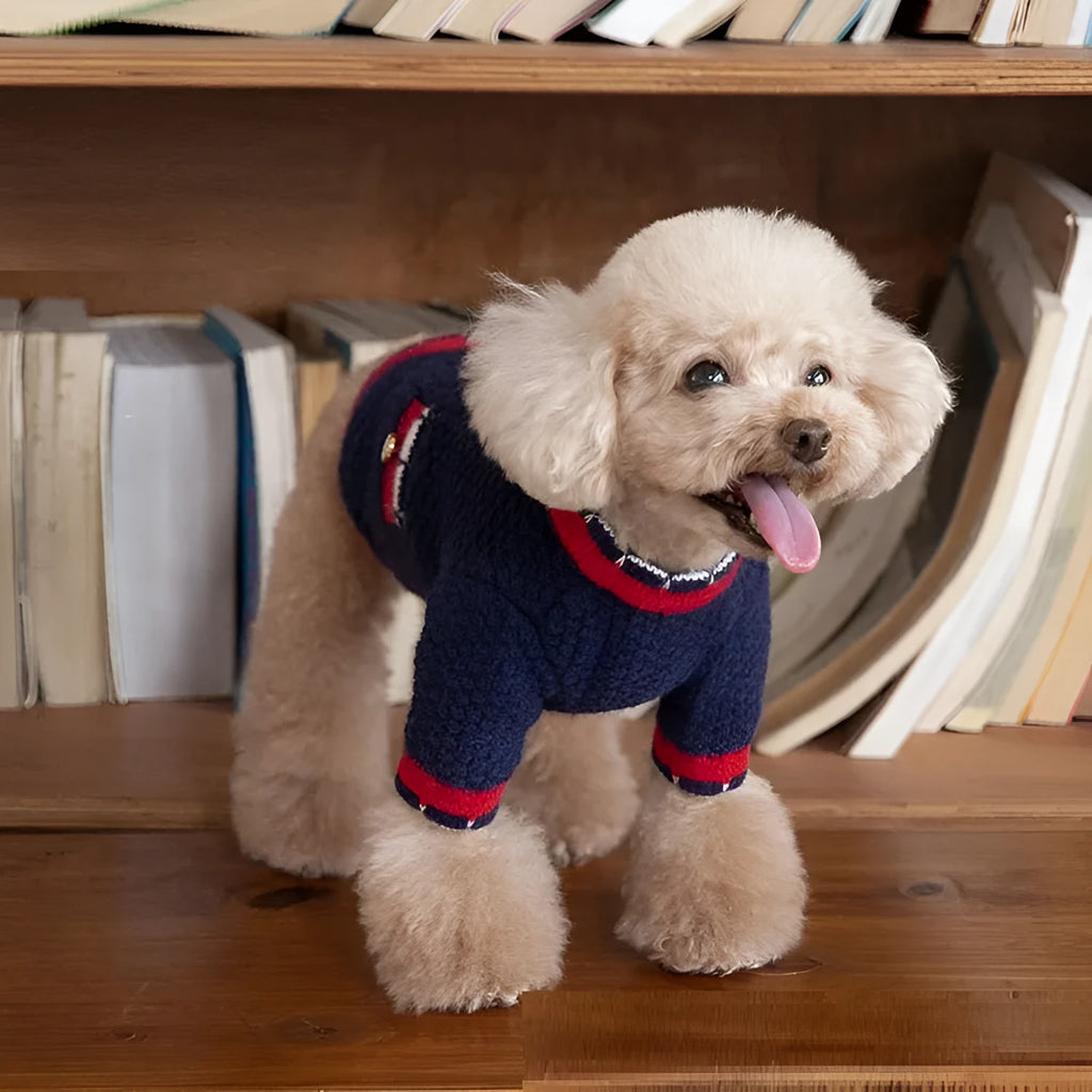 Blue wool dog sweater cardigan with classic princess style on mannequin showing button front
