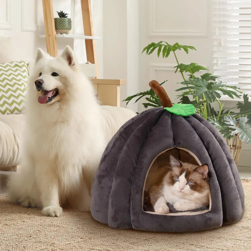 Pumpkin-shaped cat bed in blue with semi-enclosed design and removable cushion