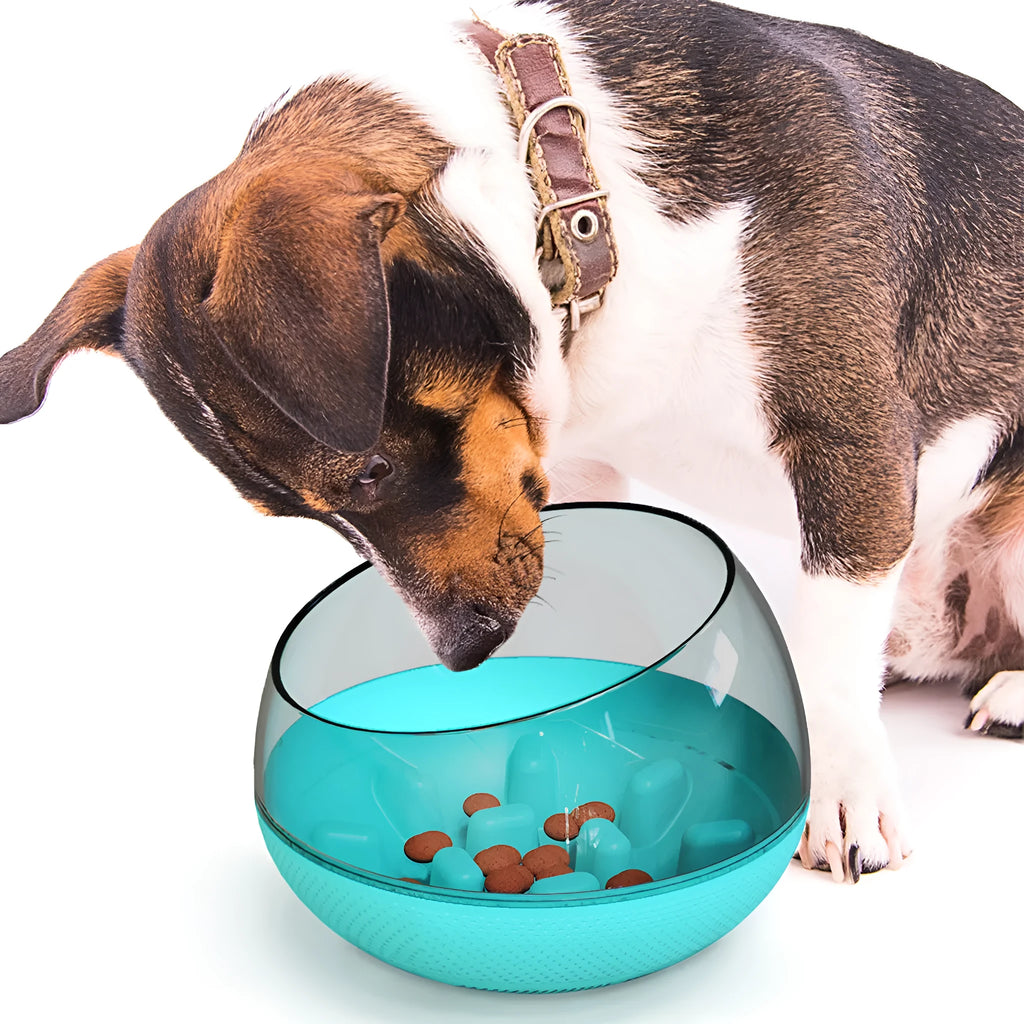 Plastic slow food bowl for pets, 19 x 19 x 14 cm, shown in blue, green, or yellow