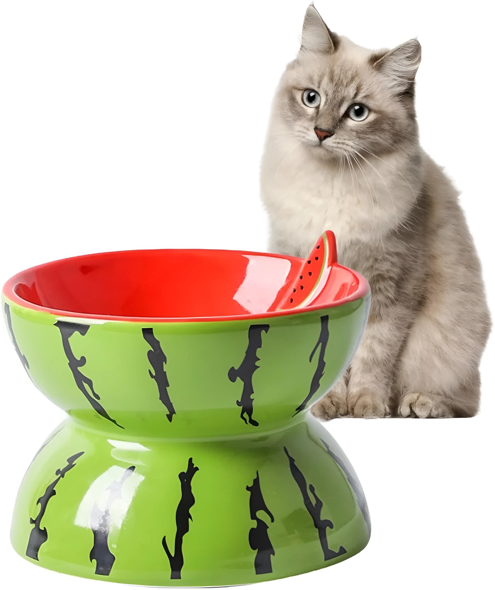 Orange patterned ceramic raised cat bowl on a tilted stand for food and water.