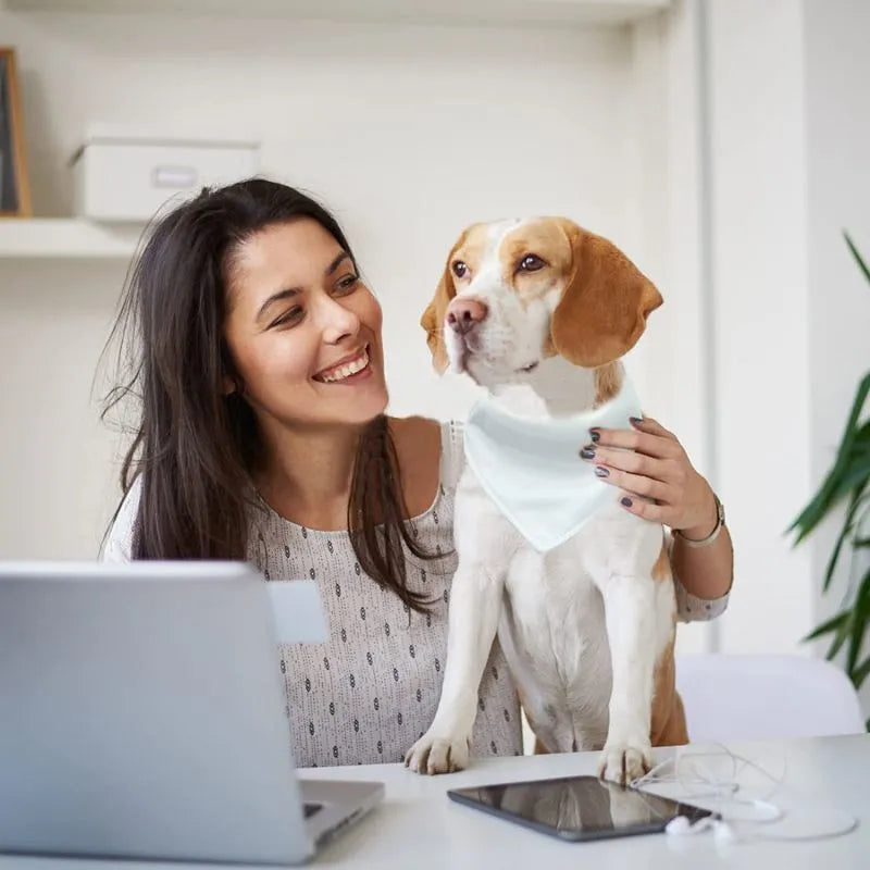 Blank white polyester dog scarf for custom thermal transfer printing in four sizes.