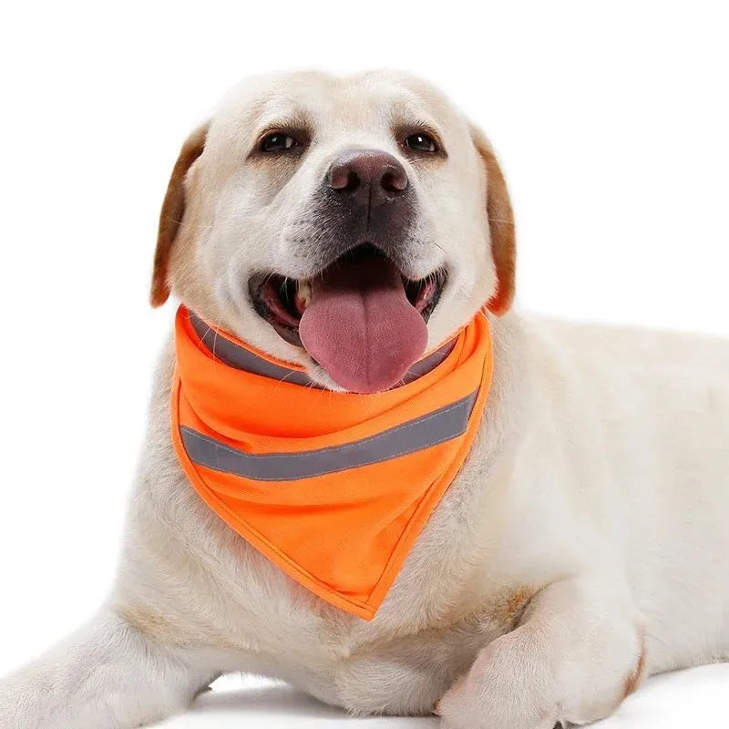 Yellow and orange reflective triangular dog bandana with adhesive strap on a dog's neck.