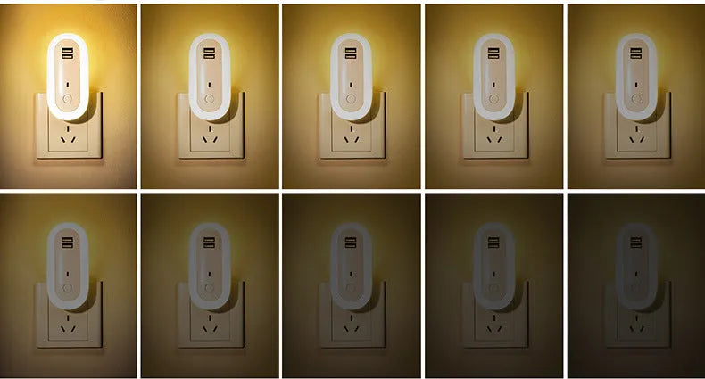 Oval small night light with dual USB charging ports and remote control, 1W LED wall plug-in lamp