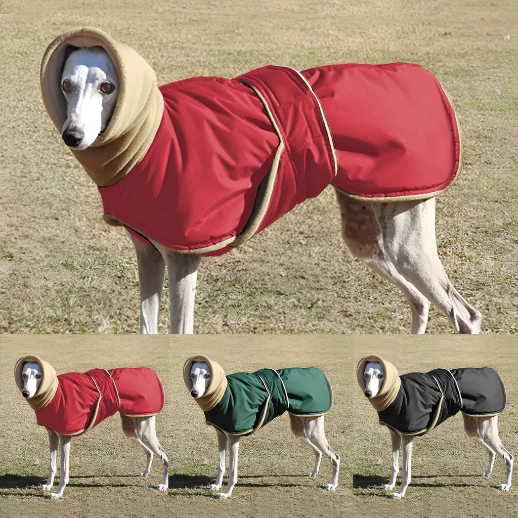 Red pet coat with polar fleece lining on a small dog for autumn winter walks