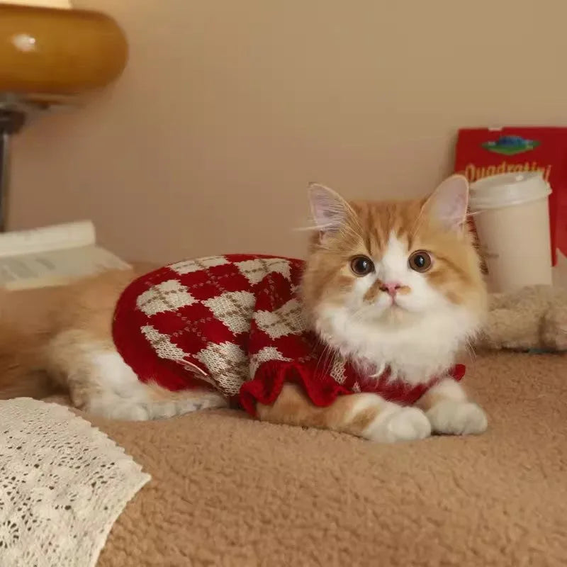 Red cat sweater with rhombic embroidery cherry design showing front view with size label