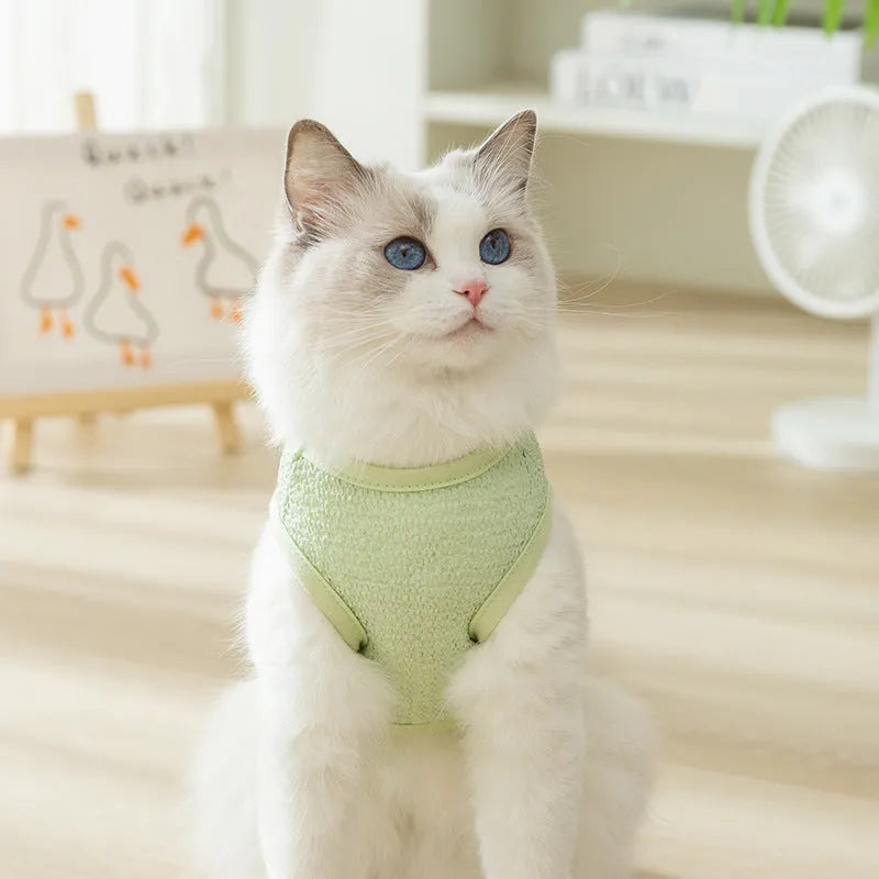 Cat wearing green bear patch cartoon clothing with hollowed-out breathable design