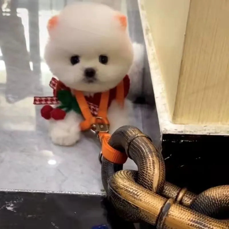Simulation rough rope design dog lead in bronze colour with plastic clasp for walking and comedy videos