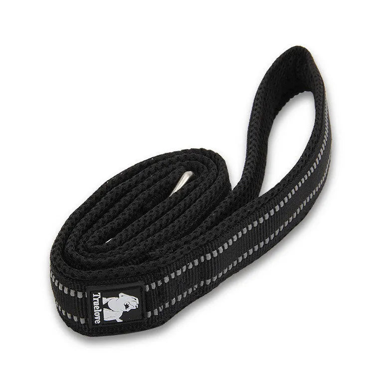 Nylon non-stretch pet dog leash in black with metal clip, 110CM length on white background