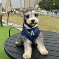 Blue and grey white slim-fit pet hoodie with reflective letters for dogs and cats