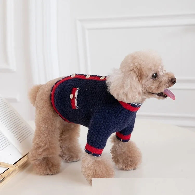 Blue wool dog sweater cardigan with classic princess style on mannequin showing button front