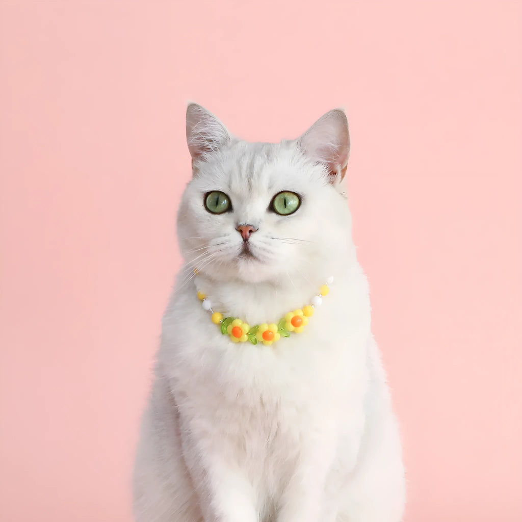 Colourful plastic bead pet necklace for small cats and dogs in peach, rainbow, and small flower designs.