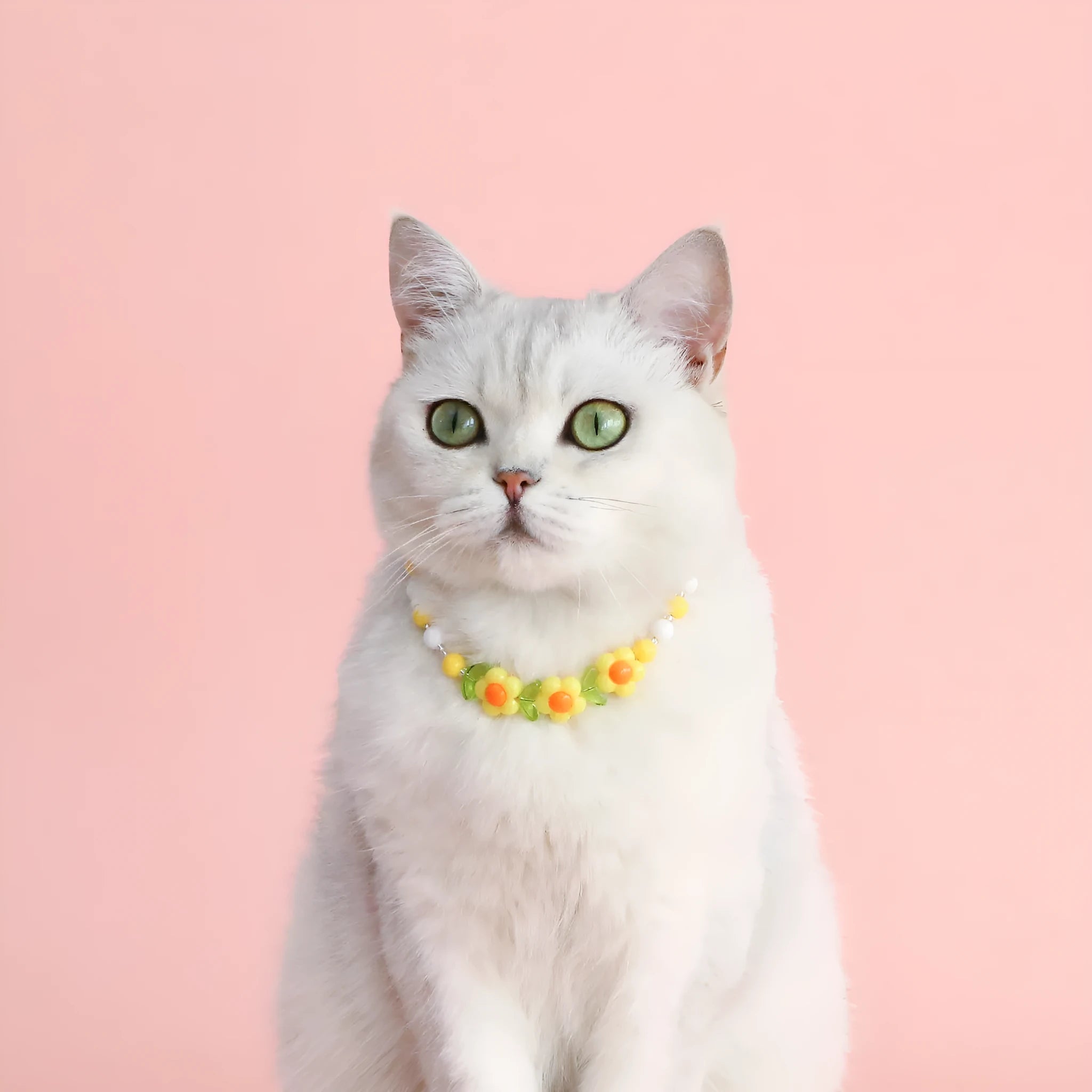 Colourful plastic bead pet necklace for small cats and dogs in peach, rainbow, and small flower designs.