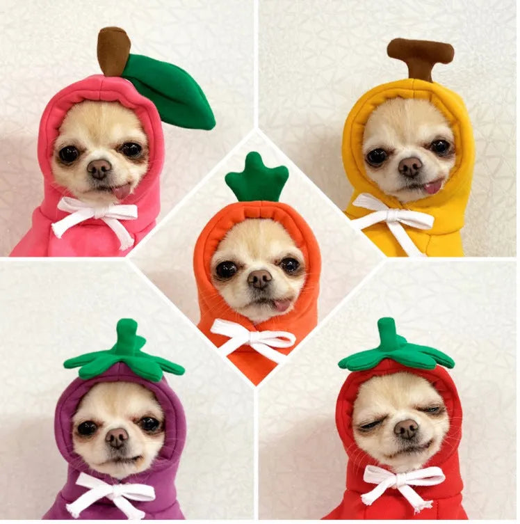 Fruit dog clothes two-legged hooded fleece outfit in green for autumn and winter