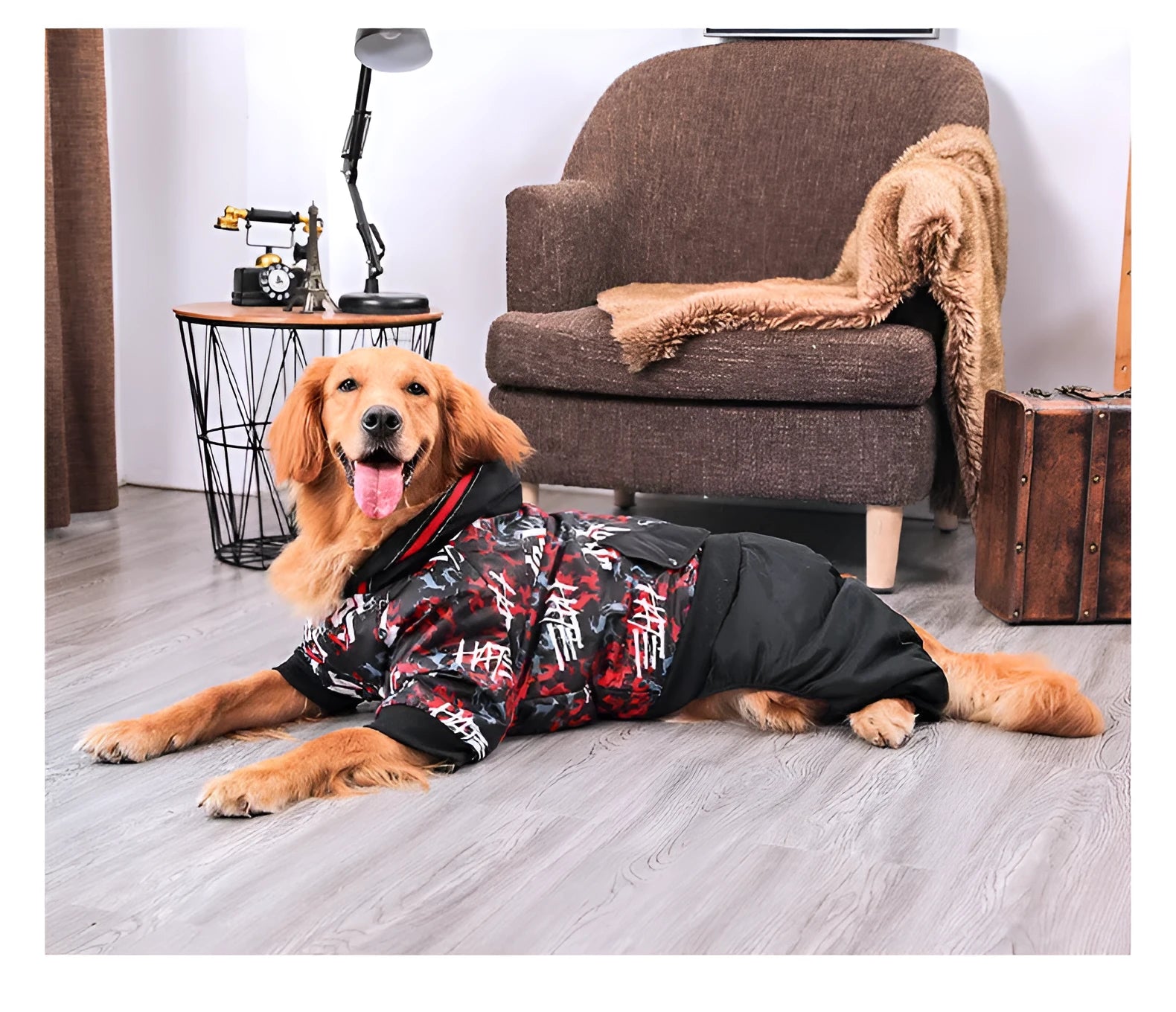 Large dog cotton printed coat in 3XL to 7XL sizes with neckline, bust, and back length measurements