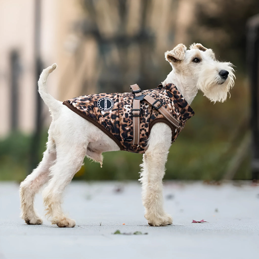 Leopard print pet top with integrated chest and back traction rope for dogs