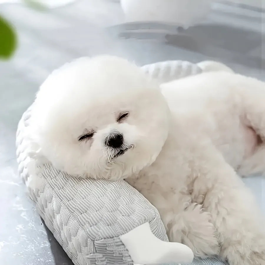 Blue pet bed cushion with big-eyed monster design for dogs and cats on a wooden floor